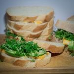 Avocado, cheese and arugula sprouts sandwich on a woode n boars