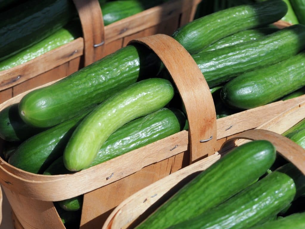 Cucumbers on the basket