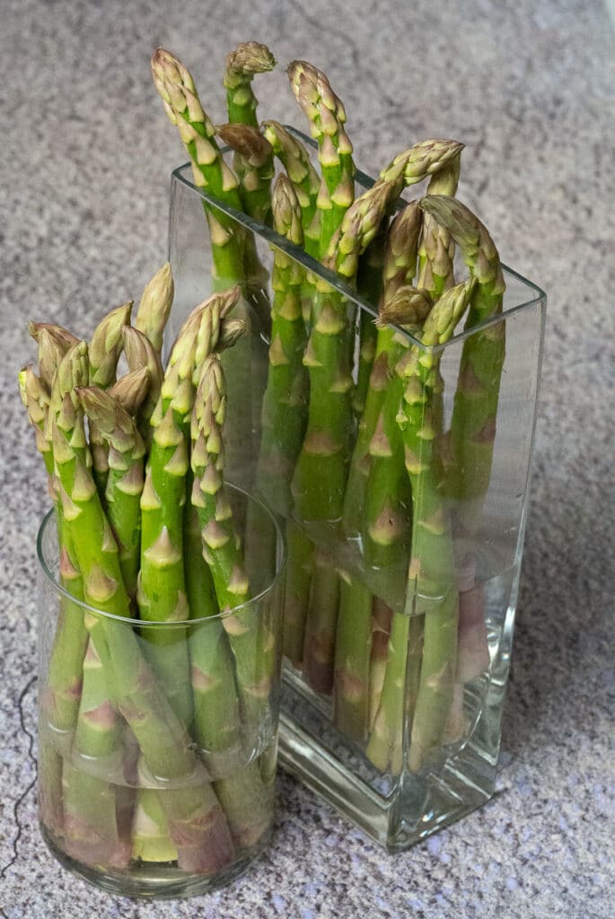 Fresh asparagus in a jar with water.